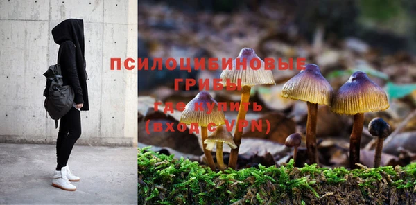 MESCALINE Баксан